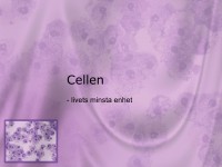/album/a8-cellen/a5-cellen-001-jpeg/